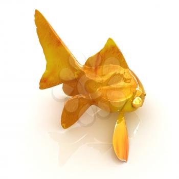 Gold fish on a white background