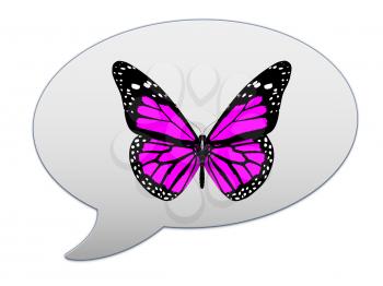 messenger window icon and red butterfly 