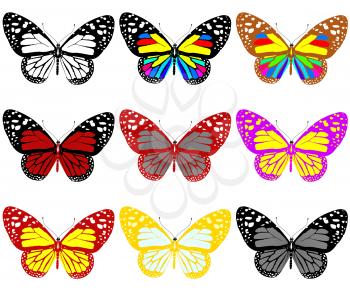 Butterflies botany set