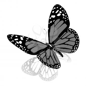 Black and white beautiful butterfly. High quality rendering
