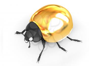golden beetle on a white background