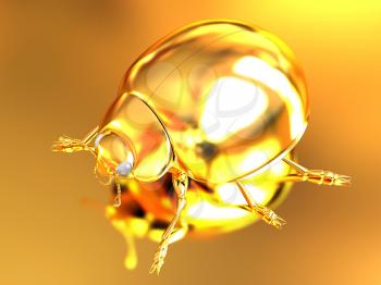 golden beetle on a gold background