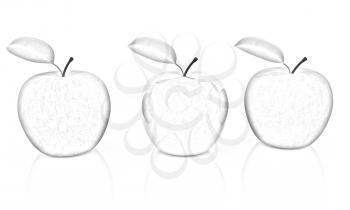 apples on a white background