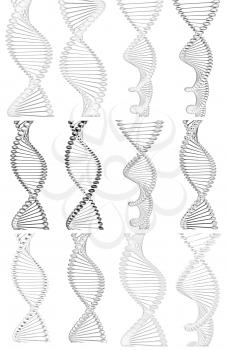 Set of DNA structure model on a white background