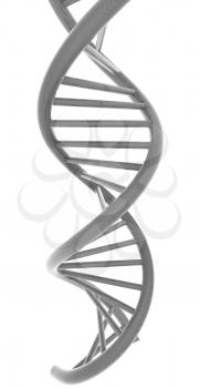 DNA structure model on a white background
