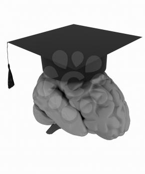 graduation hat on brain