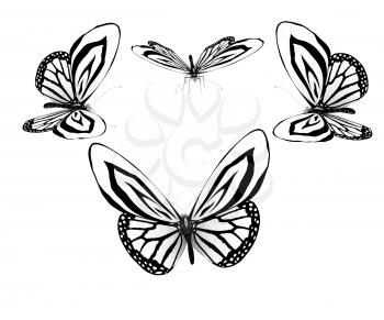 fancy butterflies