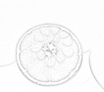 half oranges and oranges on a white background