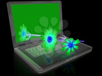 cosmos flower on laptop on a black background