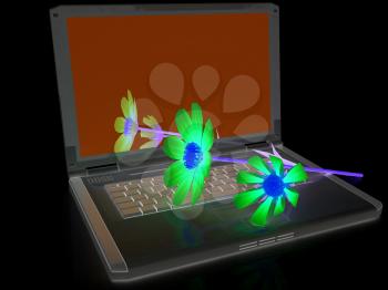 cosmos flower on laptop on a black background