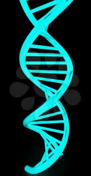 DNA structure model on black