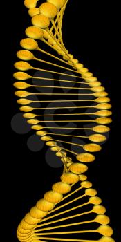 DNA structure model on a black background