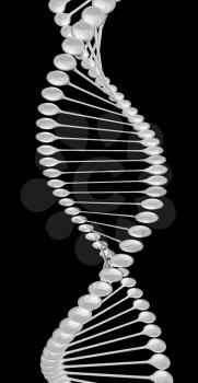 DNA structure model on a black background