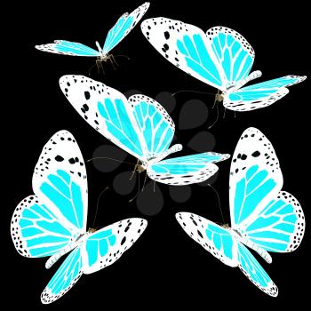 Butterflies on a black background