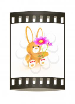 soft toy hare with a little red hearts on white paws and cosmos flower on a white background. The film strip