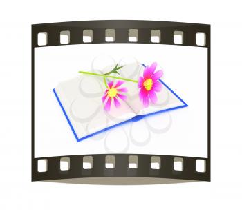 Wonderful flower cosmos on the exposed book. The film strip