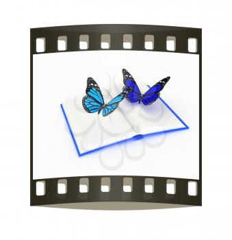 butterfly on a book on a white background. The film strip