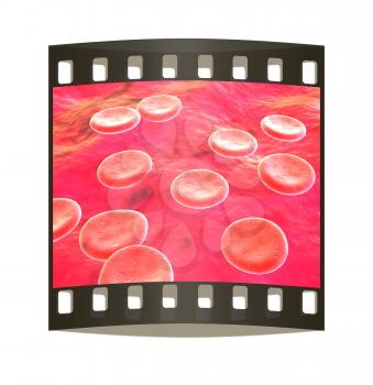 Blood cells. The film strip