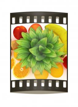 colorful citrus background. The film strip