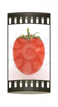 tomato on a white background. The film strip