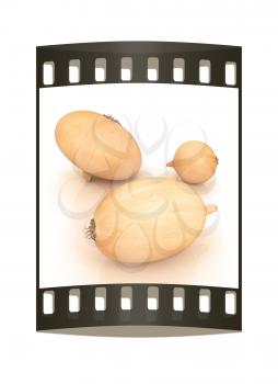 Ripe onion on a white background. The film strip