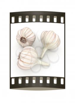 Head of garlic on a white background. The film strip