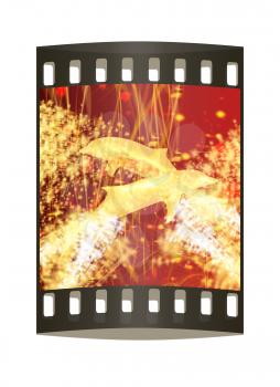 Golden Dolphin - a symbol of love and devotion in gold spray and stars on a fantastic festive background. The film strip