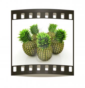 pineapples on a white background. The film strip