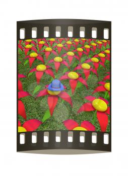 One individuality blue hat on a flower. The film strip