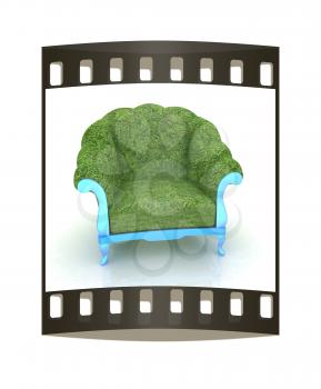 Herbal armchair on a white background. The film strip