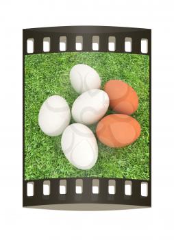 Eggs on the grass. The film strip