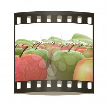 apples on a white background. The film strip
