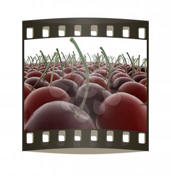 Sweet cherries on a white background. The film strip