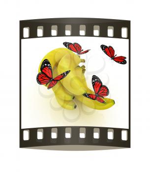 Red butterflys on a bananas on a white background. The film strip