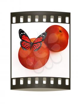Red butterflys on a fresh peaches on a white background. The film strip