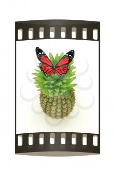 Red butterflys on a pineapple on a white background. The film strip