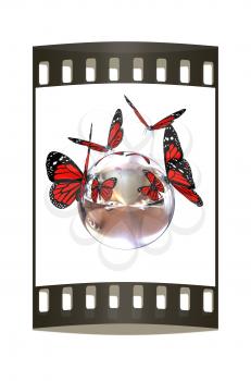Red butterfly on a chrome reflective sphere on a white background. The film strip