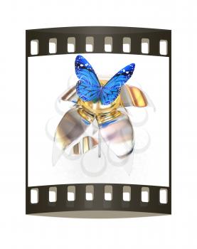Blue butterflys on a chrome flower with a gold head on a white background. The film strip