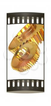 Gold gear set on a white background. The film strip