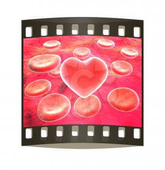 Heart in red blood cells. The film strip