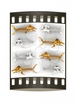 Set of 3d metall illustration of fish skeleton on a white background. The film strip