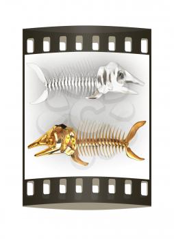 3d metall illustration of fish skeleton on a white background. The film strip