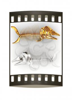 3d metall illustration of fish skeleton on a white background. The film strip