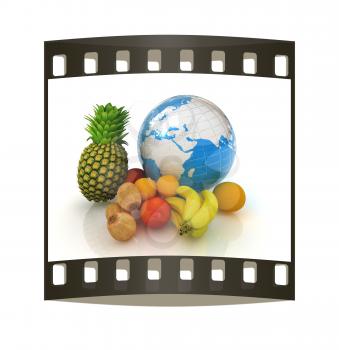 Citrus and earth. Global on a white background. The film strip
