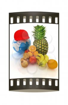 Citrus and earth on a white background. The film strip