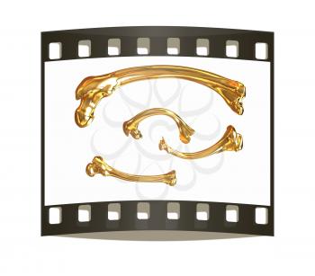 Set of gold bone on a white background. The film strip