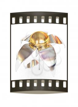 Chrome flower with a gold head on a white background. The film strip