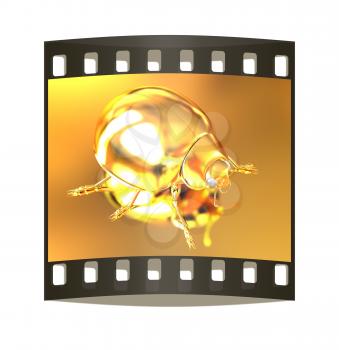 golden beetle on a gold background. The film strip