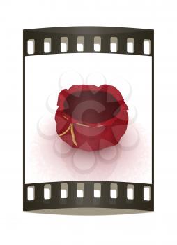Bag on a white background. The film strip