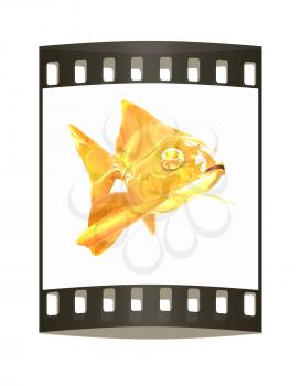 Gold fish. Isolation on a white background. The film strip